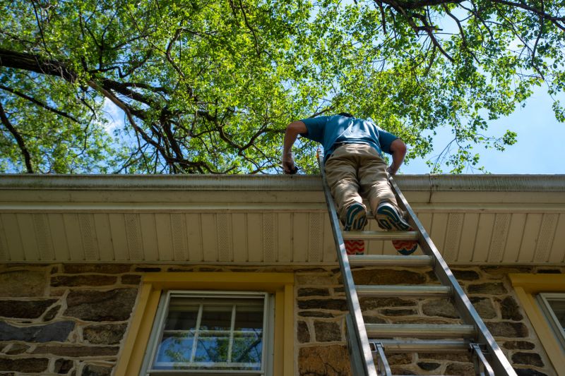 Summer Roof Maintenance